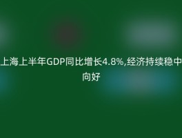上海上半年GDP同比增长4.8%,经济持续稳中向好