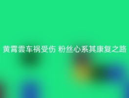 黄霄雲车祸受伤 粉丝心系其康复之路
