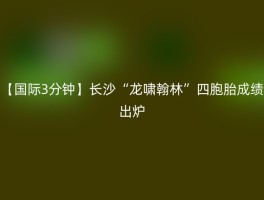 【国际3分钟】长沙“龙啸翰林”四胞胎成绩出炉