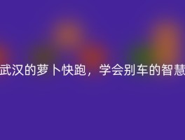 武汉的萝卜快跑，学会别车的智慧