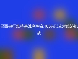 巴西央行维持基准利率在105%以应对经济挑战