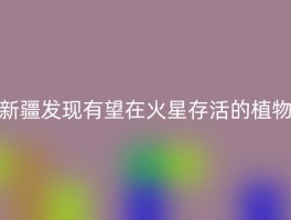 新疆发现有望在火星存活的植物