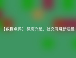 【数据点评】 微商兴起，社交网赚新途径