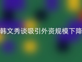 韩文秀谈吸引外资规模下降