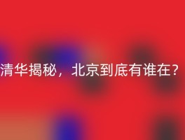 清华揭秘，北京到底有谁在？