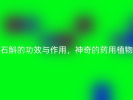 石斛的功效与作用，神奇的药用植物