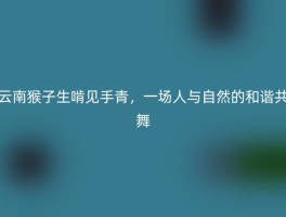 云南猴子生啃见手青，一场人与自然的和谐共舞