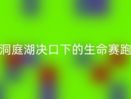 洞庭湖决口下的生命赛跑