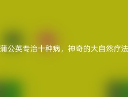 蒲公英专治十种病，神奇的大自然疗法