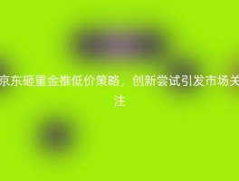 京东砸重金推低价策略，创新尝试引发市场关注