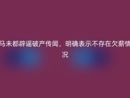 马未都辟谣破产传闻，明确表示不存在欠薪情况