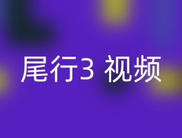 尾行3 视频