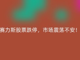 赛力斯股票跌停，市场震荡不安！