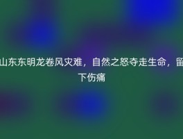 山东东明龙卷风灾难，自然之怒夺走生命，留下伤痛