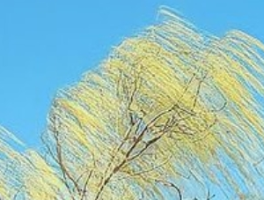 华北此次大风为何风力异乎寻常