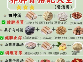 秋冬进补必备！国内煲汤大全，暖心又暖胃的汤品推荐