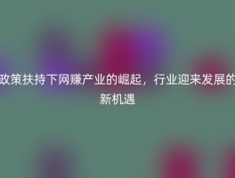 政策扶持下网赚产业的崛起，行业迎来发展的新机遇