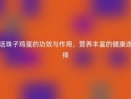 活珠子鸡蛋的功效与作用，营养丰富的健康选择