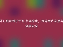 外汇局称维护外汇市场稳定，保障经济发展与金融安全