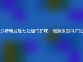 沙特新发现七处油气矿床，能源版图再扩张