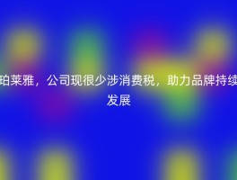 珀莱雅，公司现很少涉消费税，助力品牌持续发展