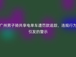 广州男子骑共享电单车遭罚款追踪，违规行为引发的警示