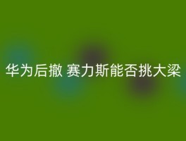 华为后撤 赛力斯能否挑大梁
