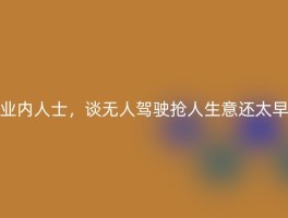 业内人士，谈无人驾驶抢人生意还太早