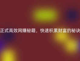 正式高效网赚秘籍，快速积累财富的秘诀