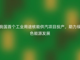我国首个工业用途核能供汽项目投产，助力绿色能源发展