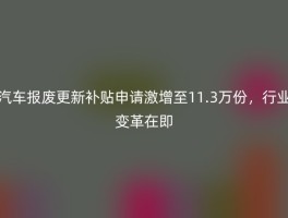 汽车报废更新补贴申请激增至11.3万份，行业变革在即