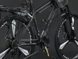 凤凰牌山地车：价格多样，满足多元需求