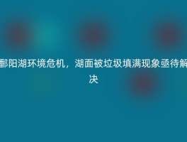 鄱阳湖环境危机，湖面被垃圾填满现象亟待解决