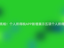 亮相！个人所得税APP新增展示五项个人所得