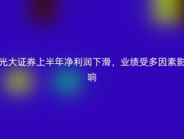 光大证券上半年净利润下滑，业绩受多因素影响