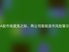 A股市场震荡之际，两公司面临退市风险警示