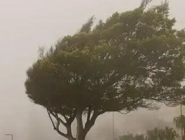 今天重点关注：非必要不外出！罕见强风周末来袭