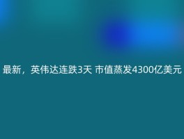 最新，英伟达连跌3天 市值蒸发4300亿美元
