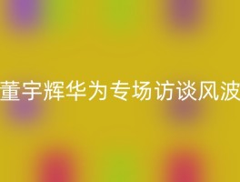 董宇辉华为专场访谈风波