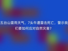 五台山雷雨天气，7头牛遭雷击死亡，警示我们要如何应对自然灾害？