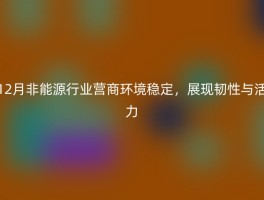 12月非能源行业营商环境稳定，展现韧性与活力