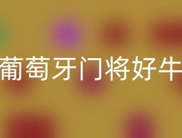 葡萄牙门将好牛