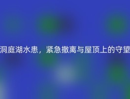 洞庭湖水患，紧急撤离与屋顶上的守望