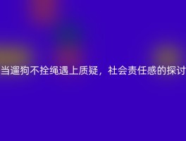 当遛狗不拴绳遇上质疑，社会责任感的探讨