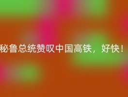 秘鲁总统赞叹中国高铁，好快！