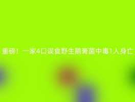 重磅！一家4口误食野生鹅膏菌中毒1人身亡