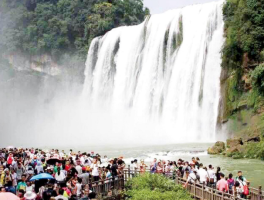 复旦回应录取600万粉丝网红：MBA项目“不唯流量论”，所有考生同标准考核