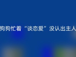 狗狗忙着“谈恋爱”没认出主人