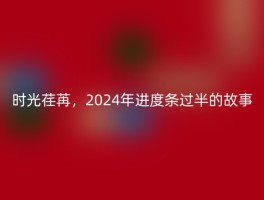 时光荏苒，2024年进度条过半的故事