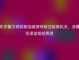 东京警方将前新加坡律师移交检察机关，涉嫌在澡堂偷拍男孩